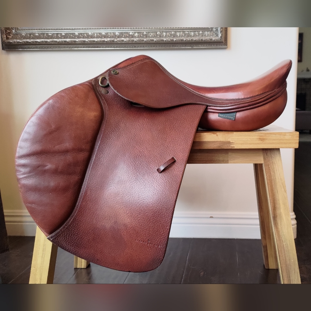 17" Dominus Jump Saddle, M tree, Forward Long Flap